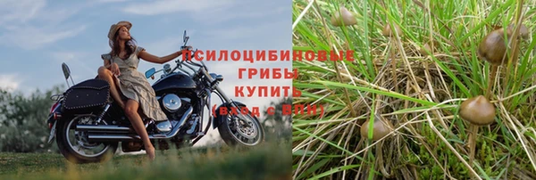 mix Алексин