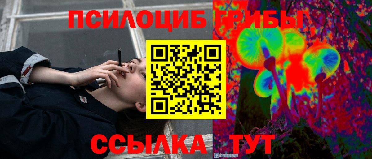 Аша  Галлюциногенные грибы мицелий  Вход с VPN  Галлюциногенные грибы Psilocybe 